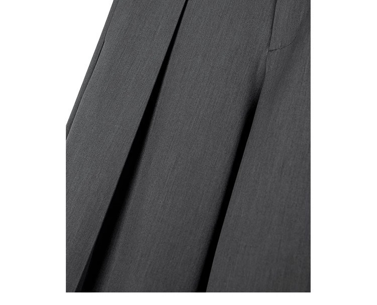 JTFS Relaxed Pleated Wide-Leg Casual Trousers