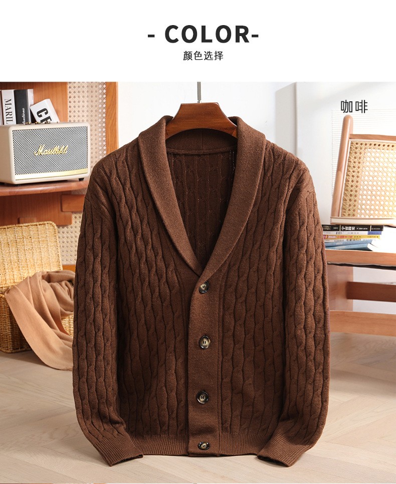 2024 Thick Knit V-Neck Men