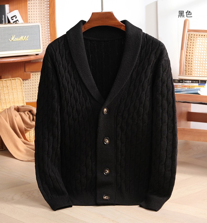 2024 Thick Knit V-Neck Men