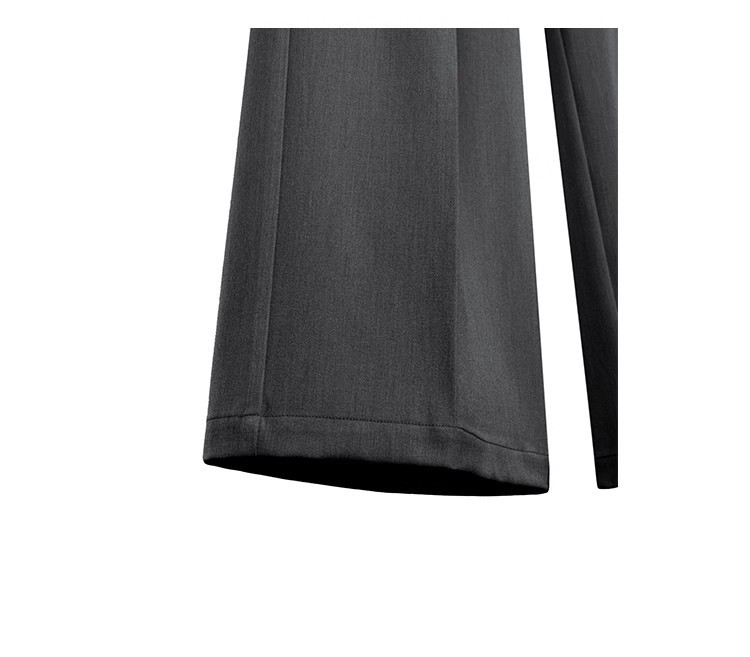 JTFS Relaxed Pleated Wide-Leg Casual Trousers