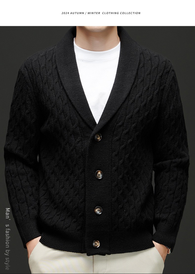 2024 Thick Knit V-Neck Men