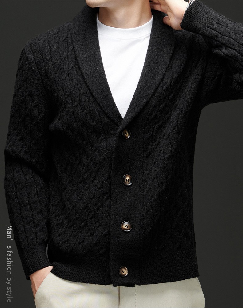 2024 Thick Knit V-Neck Men